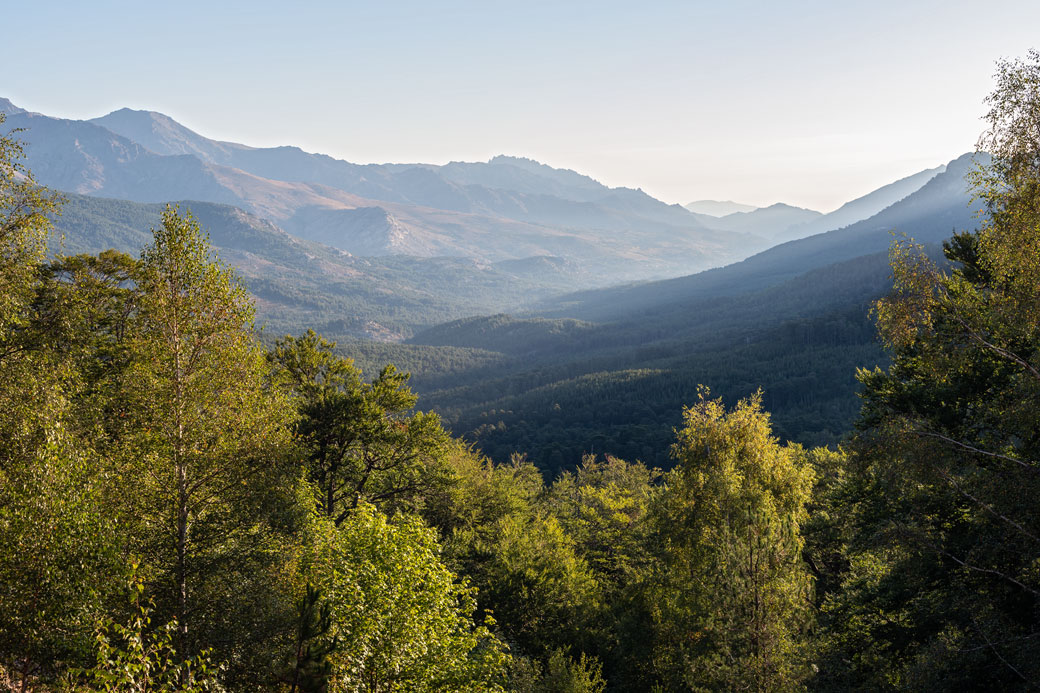 Vallée au petit matin entre le Castel de Vergio et Manganu, Corse
