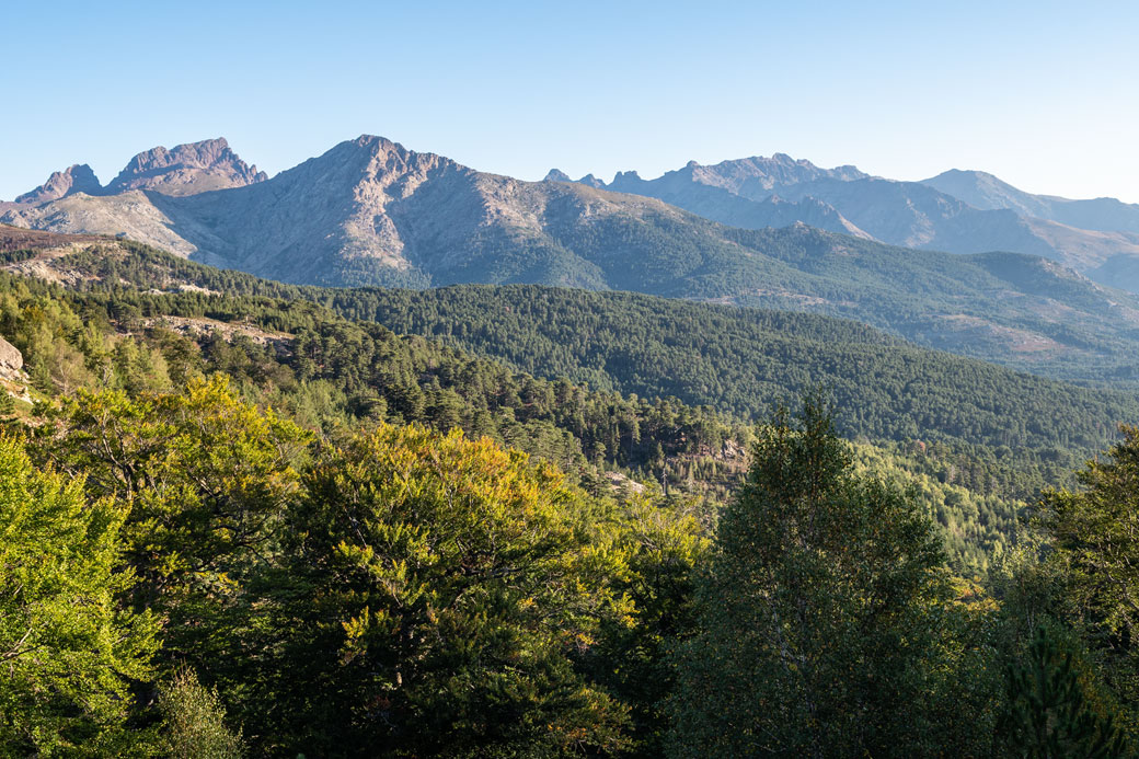 Forêt et montagnes entre le Castel de Vergio et Manganu, Corse