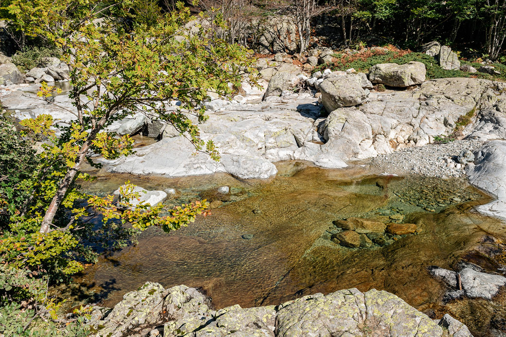 Vasque limpide du ruisseau de l'Agnone, Corse