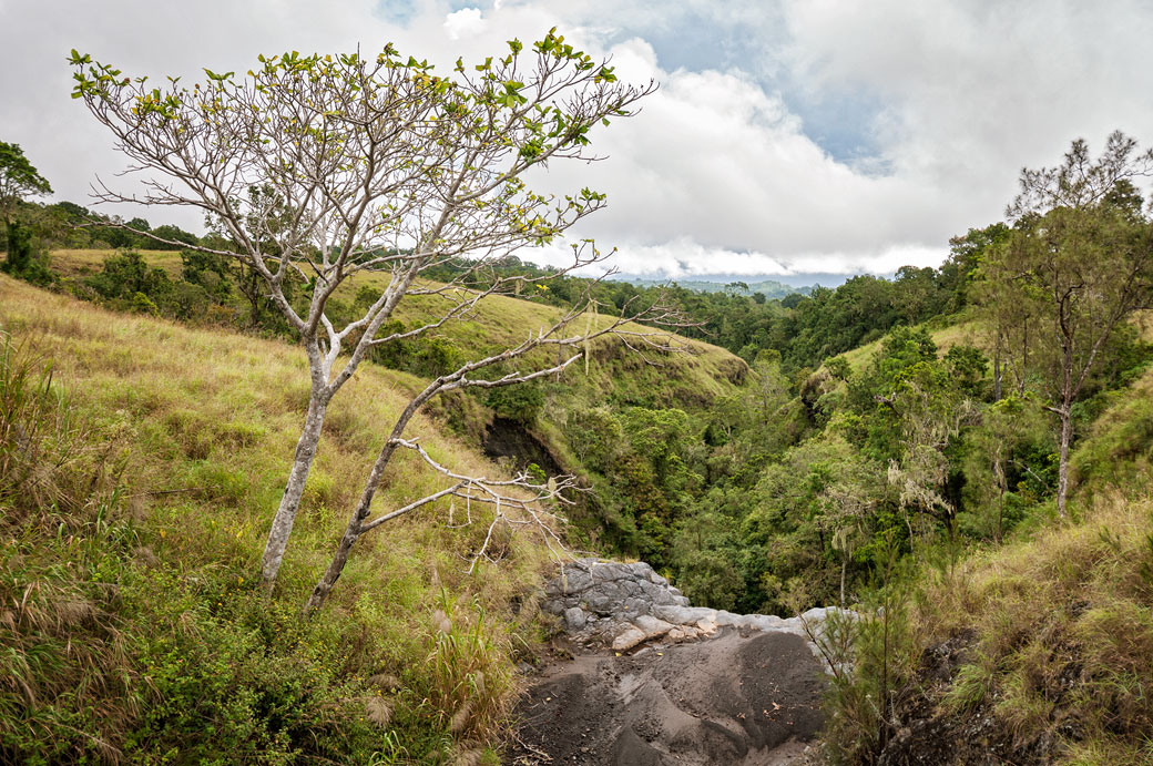 Prairie et forêt sur les pentes inférieures du Rinjani, Lombok, Indonésie