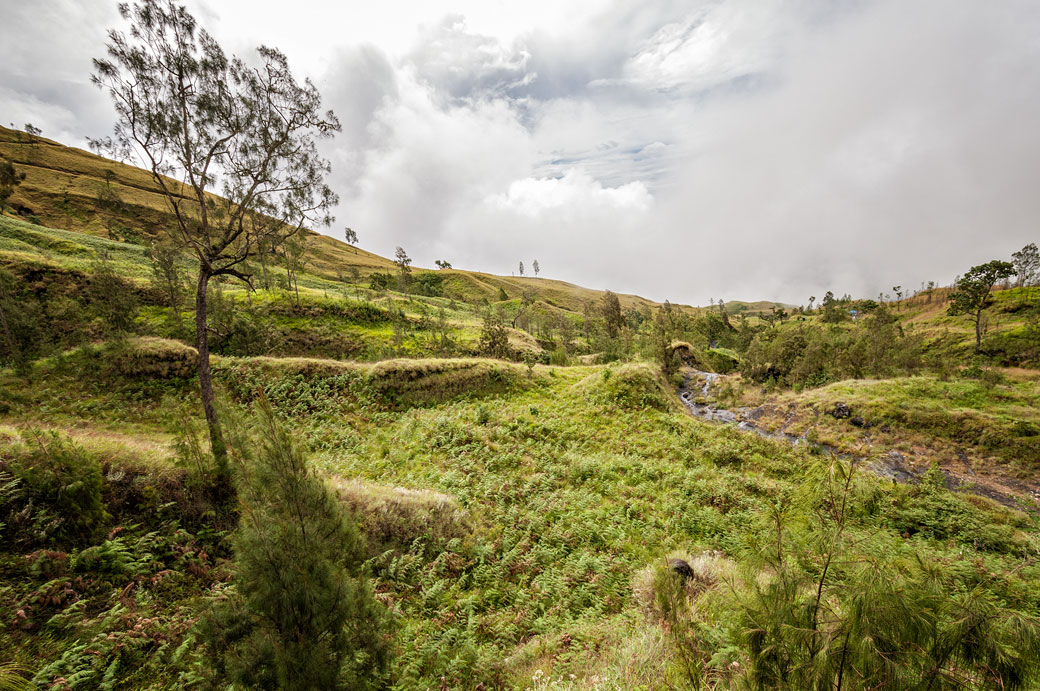 Pentes inférieures du volcan Rinjani, Lombok, Indonésie