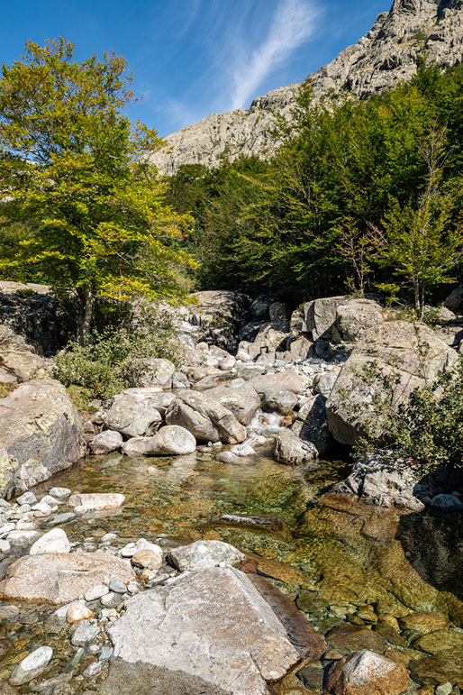 Joli ruisseau de l'Agnone lors de la descente vers Vizzavona, Corse