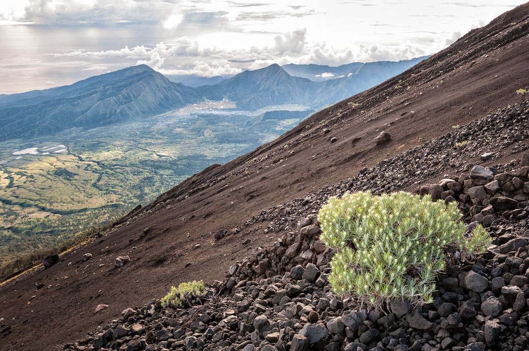 Pente du volcan Rinjani lors de la descente