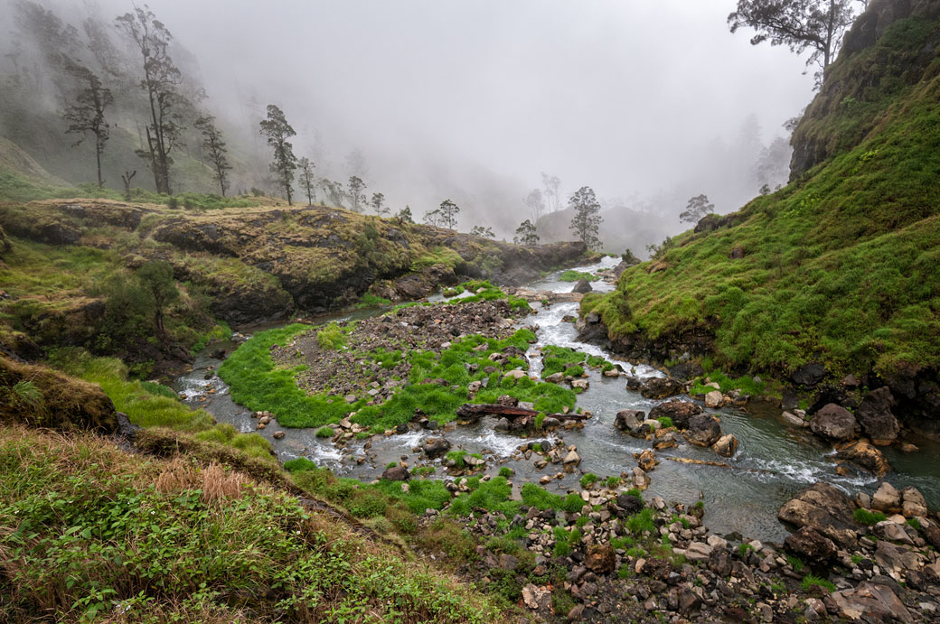 Brume et rivière sur le Mont Rinjani, Lombok