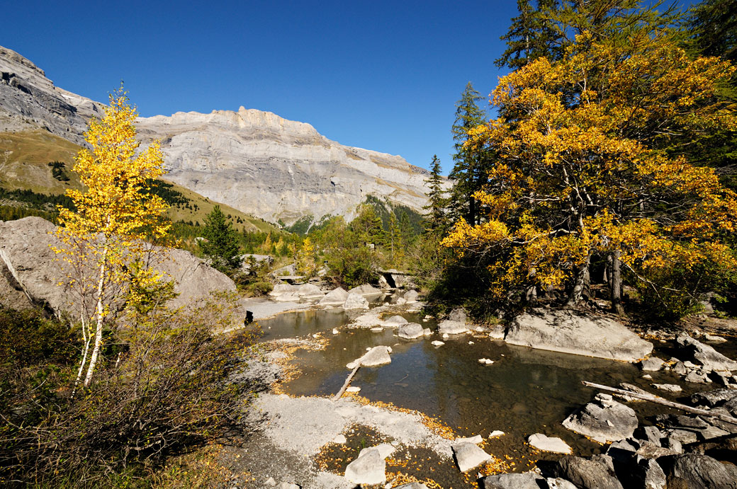 Couleurs d'automne à Derborence dans le canton du Valais, Suisse