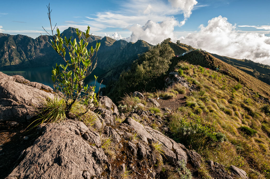 Senaru Crater rim camp sur le Mont Rinjani, Lombok