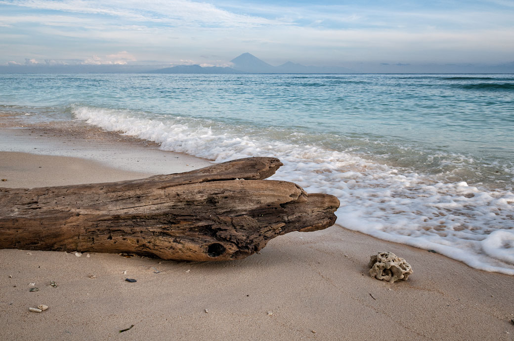 Tronc mort sur une plage de Gili Trawangan