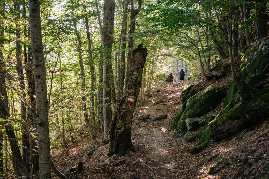 Deux randonneurs dans la forêt lors de la 10e étape du GR20, Corse