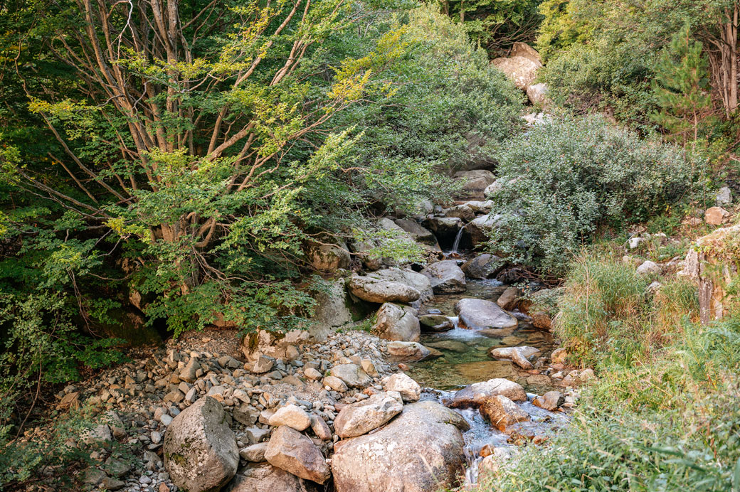 Ruisseau de Casso dans une jolie forêt sur la 11e étape du GR20, Corse