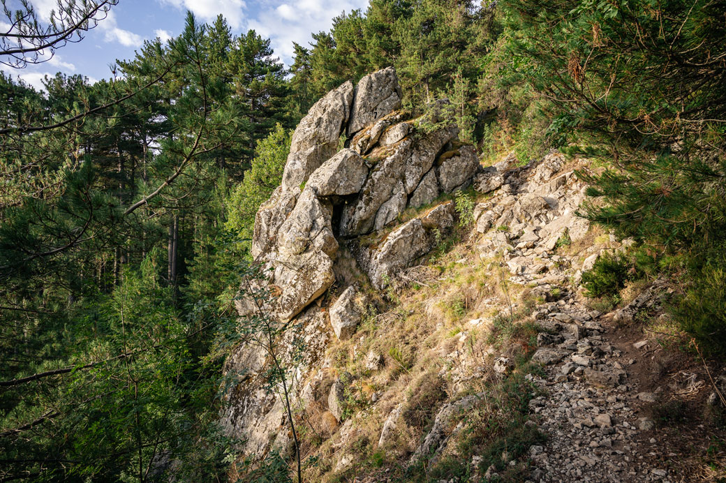 Rocher dans la forêt lors de la 11e étape du GR20, Corse