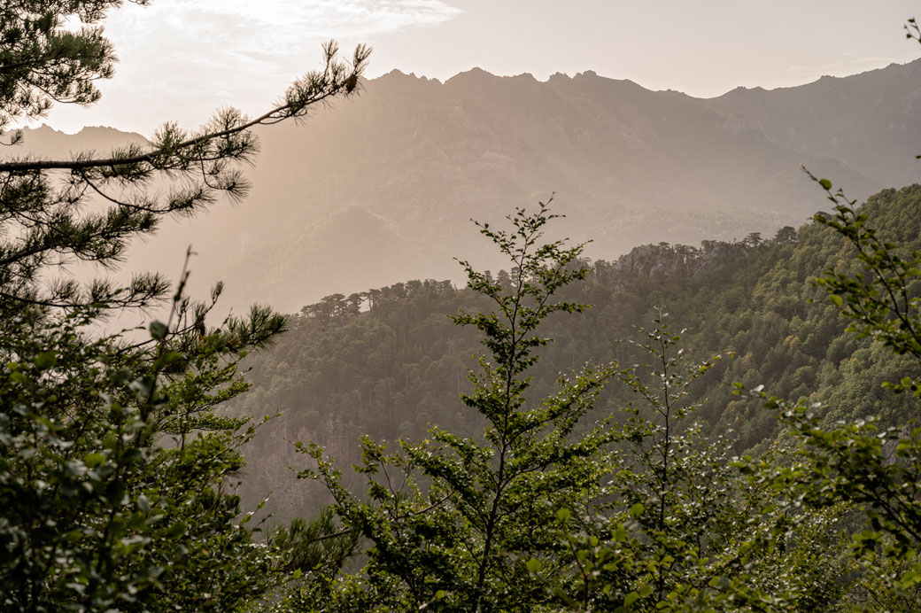 Forêt et montagnes sur la 11e étape du GR20, Corse