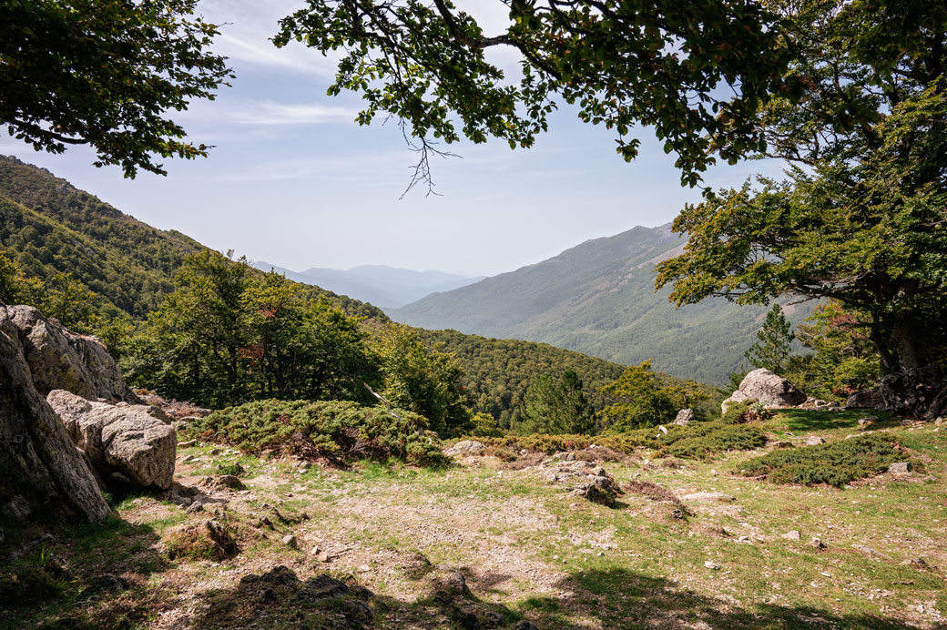 Vallée boisée lors de la montée vers Prati sur le GR20, Corse