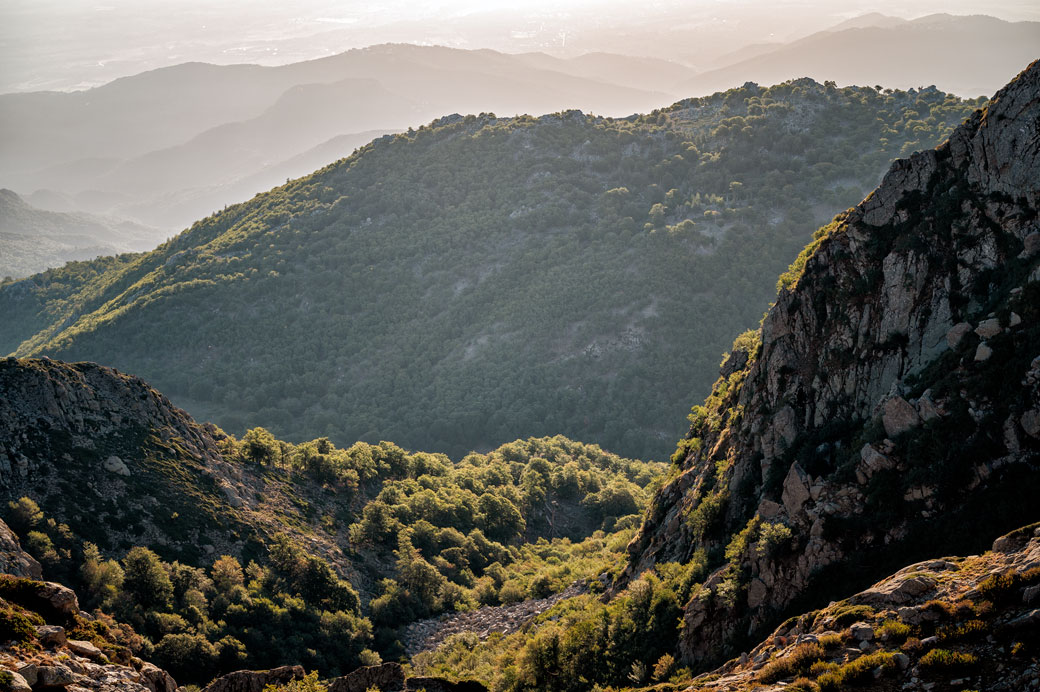 Forêt et montagne sur la 12e étape du GR20, Corse