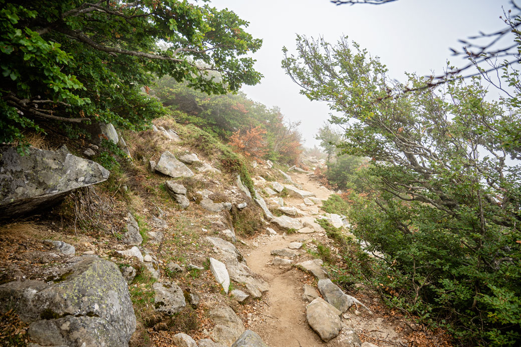 Sentier dans le brouillard de la 13e étape du GR20, Corse