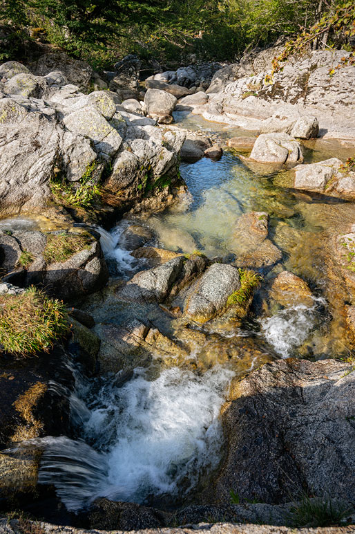 Ruisseau limpide près du plateau de Coscione, Corse