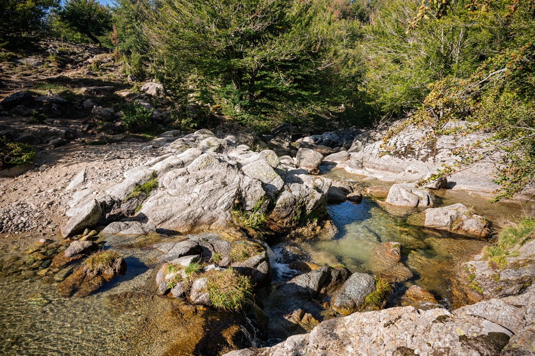 Ruisseau près du plateau de Coscione, Corse