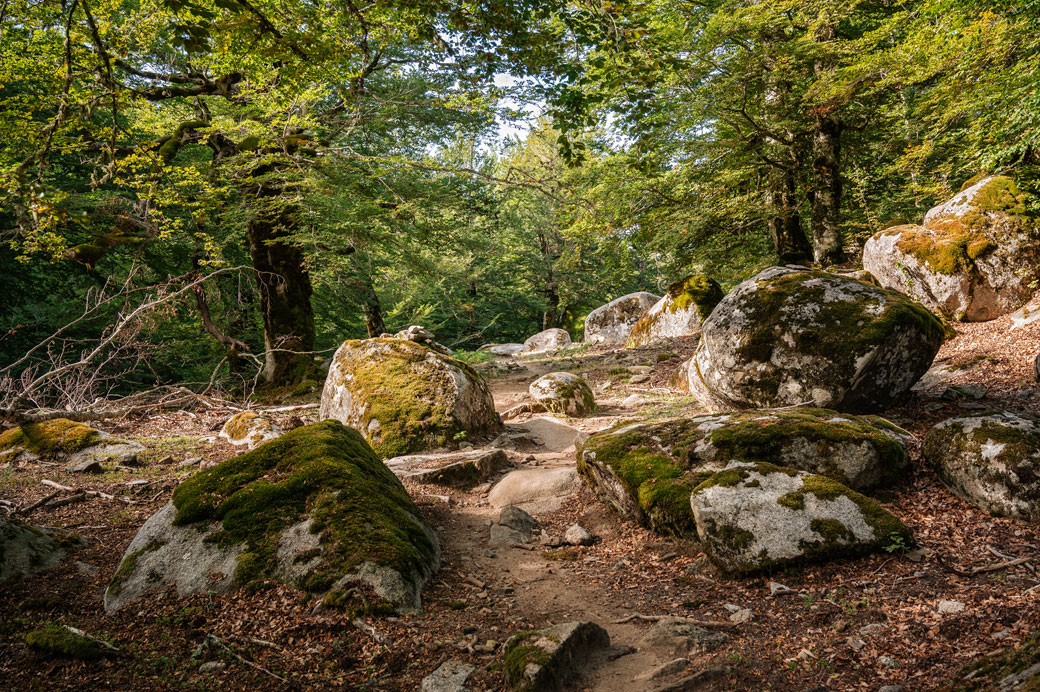 Rochers arrondis sur un sentier forestier de la 13e étape du GR20, Corse