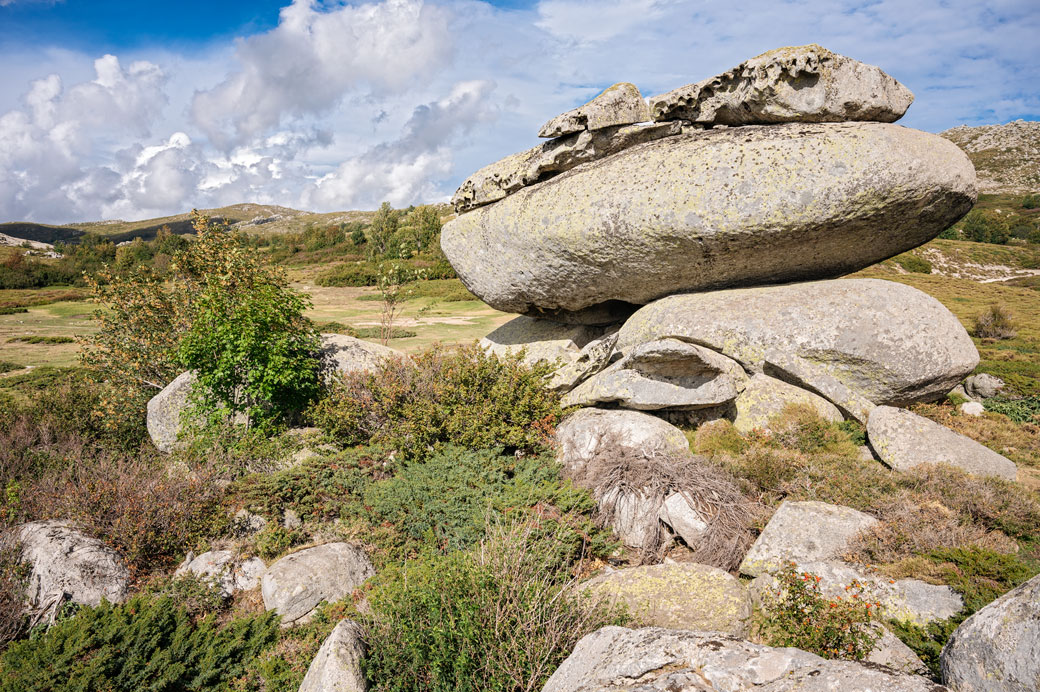 Les étranges rochers du plateau de Coscione, Corse