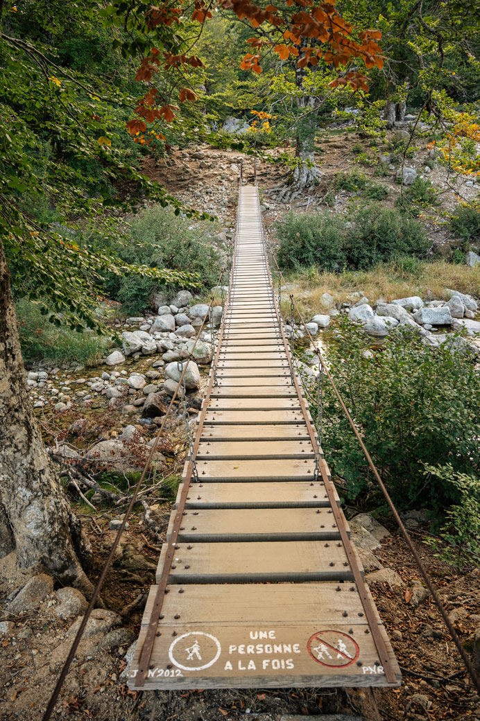 Pont suspendu dans la forêt pour la variante du Monte Incudine, Corse