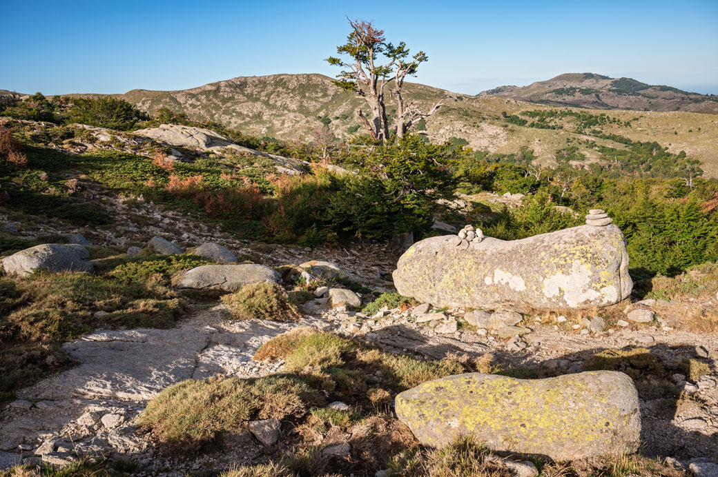 Plateau de Coscione depuis la variante du Monte Incudine, Corse