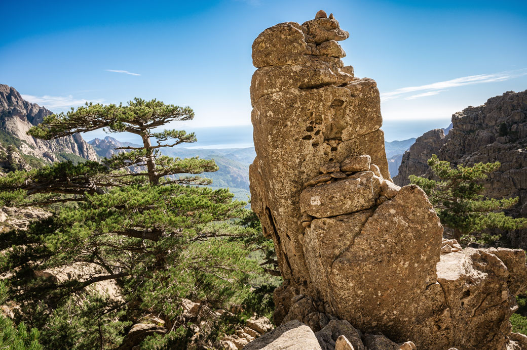 Pins et gros rocher sur les Aiguilles de Bavella, Corse