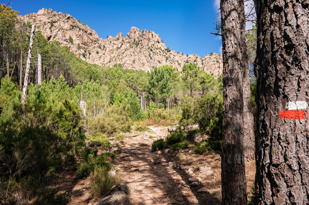 Forêt et montagnes près de I Paliri, Corse