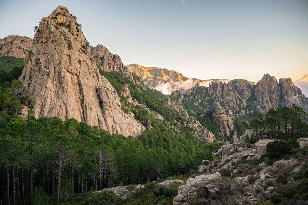 Forêt de pins et pic rocheux sur le GR20, Corse
