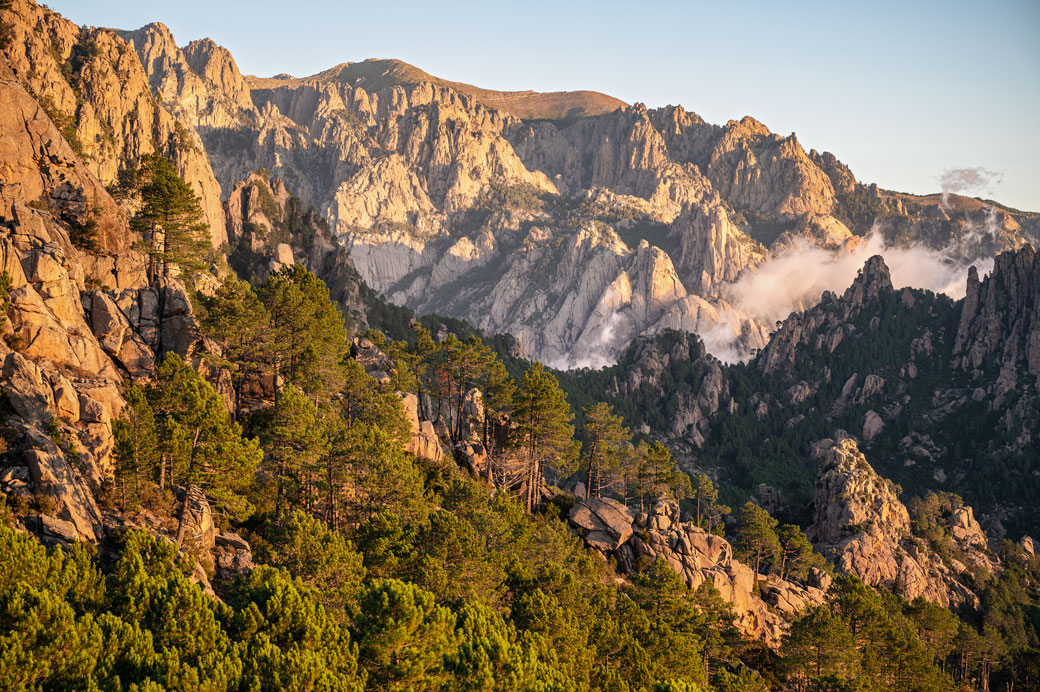 Conifères et montagnes au lever du soleil, Corse
