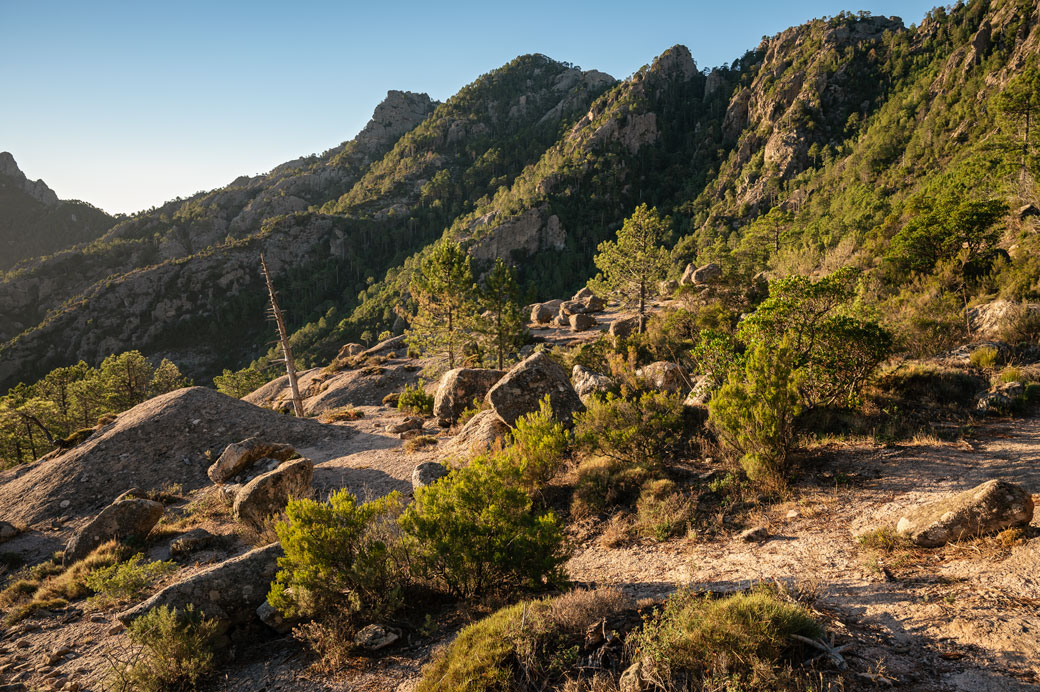 Paysage boisé entre I Paliri et Conca sur le GR20, Corse
