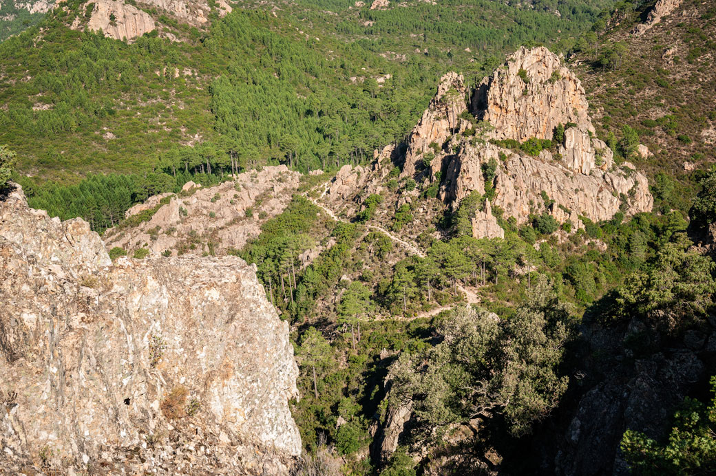 Sentier du GR20 entre forêt et rochers, Corse