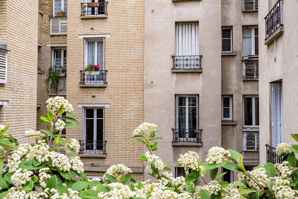 Fleurs blanches et façade d'un immeuble du 15e arrondissement de Paris