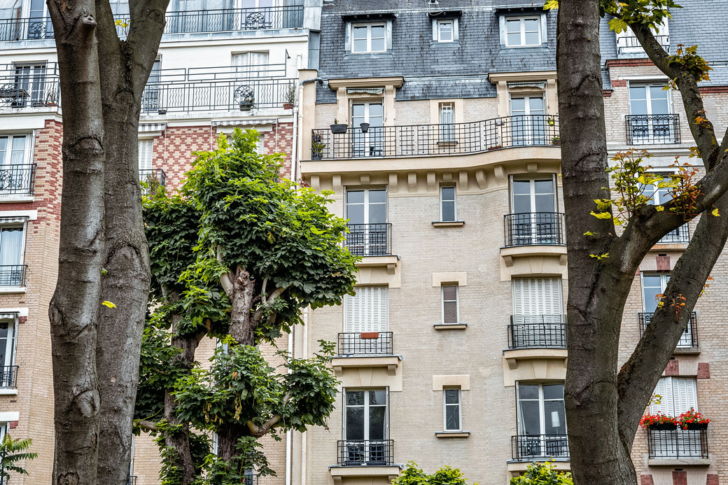 Troncs et immeubles du 15e arrondissement de Paris