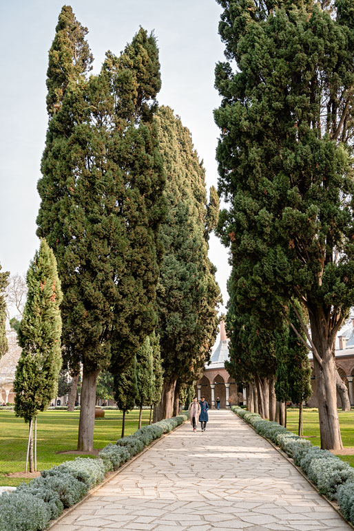 Allée dans la deuxième court du Palais de Topkapı à Istanbul