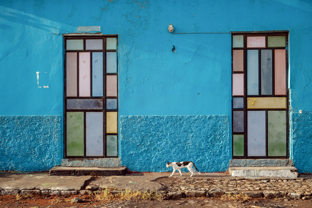 Chat devant une maison bleue et portes multicolores à Tarrafal, Cap-Vert