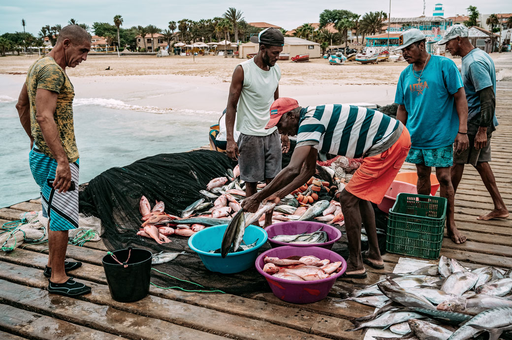 Pêcheurs et poissons frais sur la jetée de Santa Maria