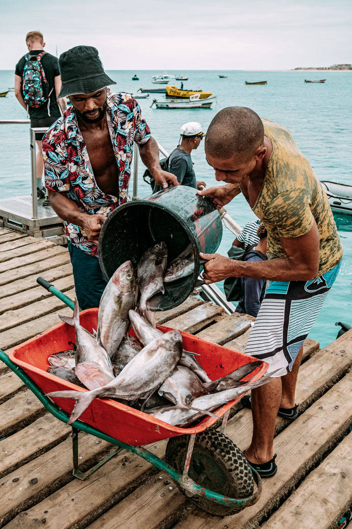 Pêcheurs qui déchargent les poissons sur la jetée de Santa Maria