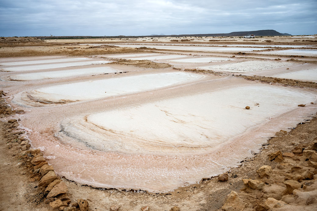 Marais salants des salines de Santa Maria, Cap-Vert