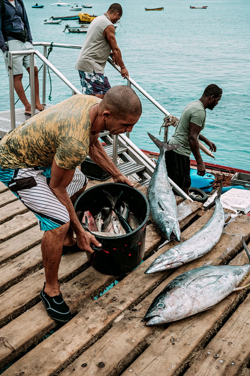 Pêcheur et gros poissons sur la jetée de Santa Maria, Cap-Vert