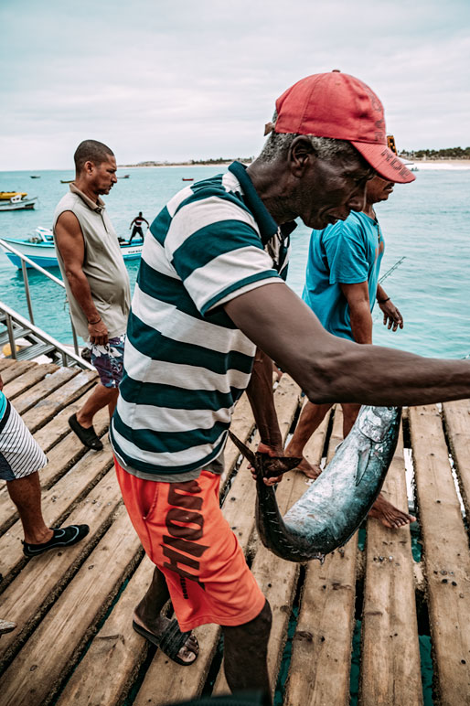 Pêcheurs et gros poisson sur la jetée de Santa Maria, Cap-Vert