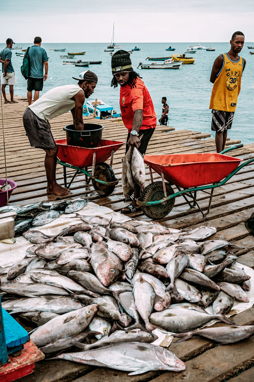 Nombreux poissons et pêcheurs sur la jetée de Santa Maria