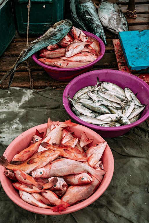 Divers poissons frais sur la jetée de Santa Maria