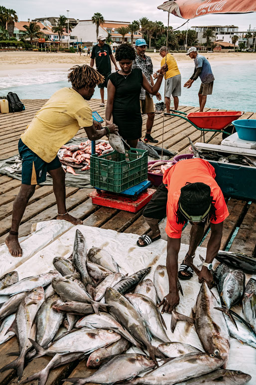 Pêcheurs avec leurs prises du jour sur la jetée de Santa Maria