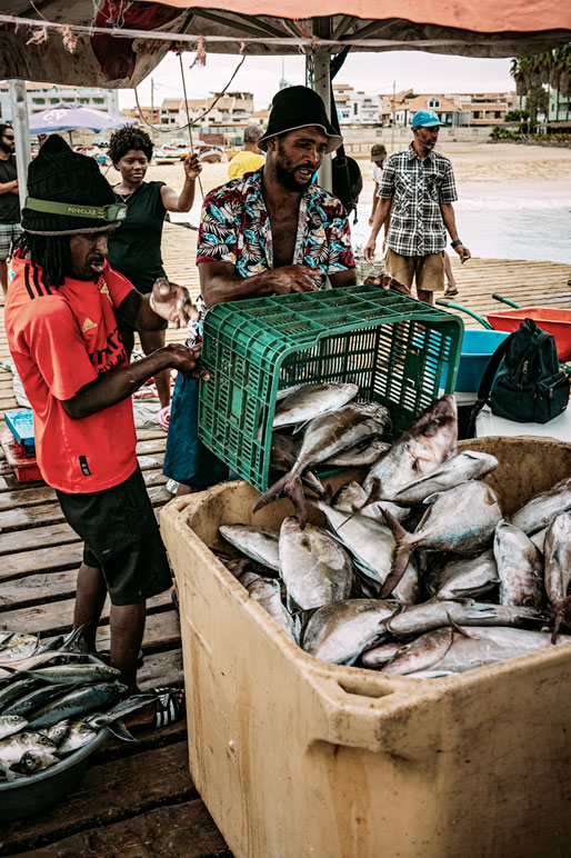 Caisses de poissons et pêcheurs de Santa Maria, Cap-Vert