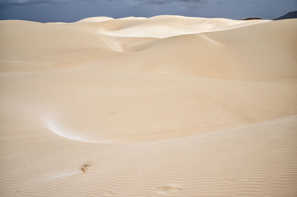 Le désert de Viana et ses dunes de sable, île de Boa Vista