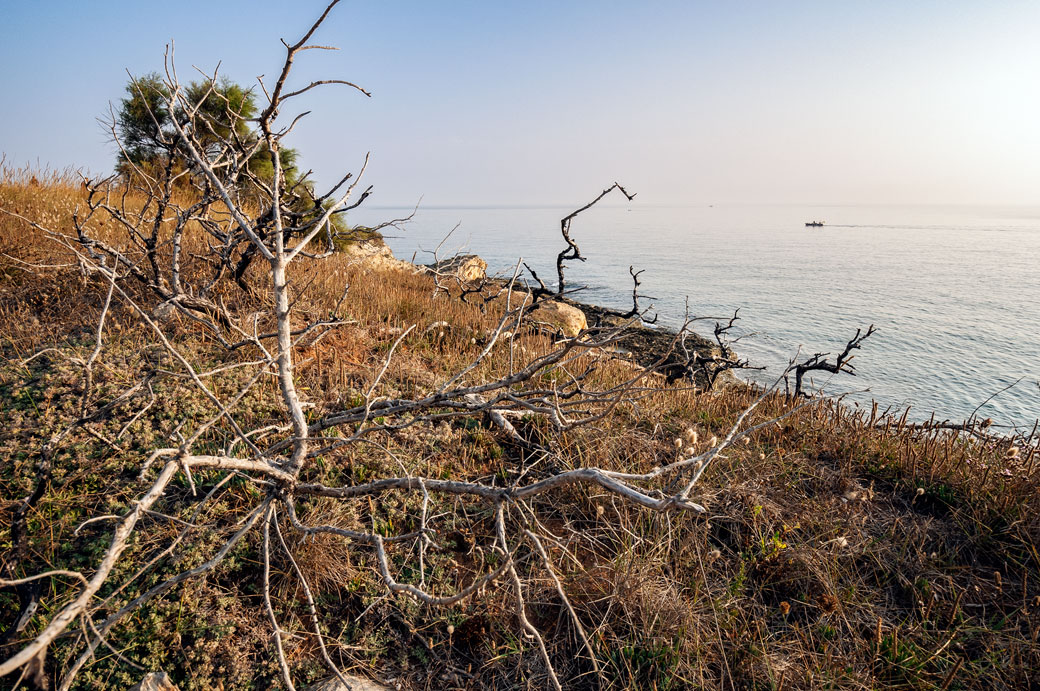 Brousaille et mer Adriatique dans le Salento