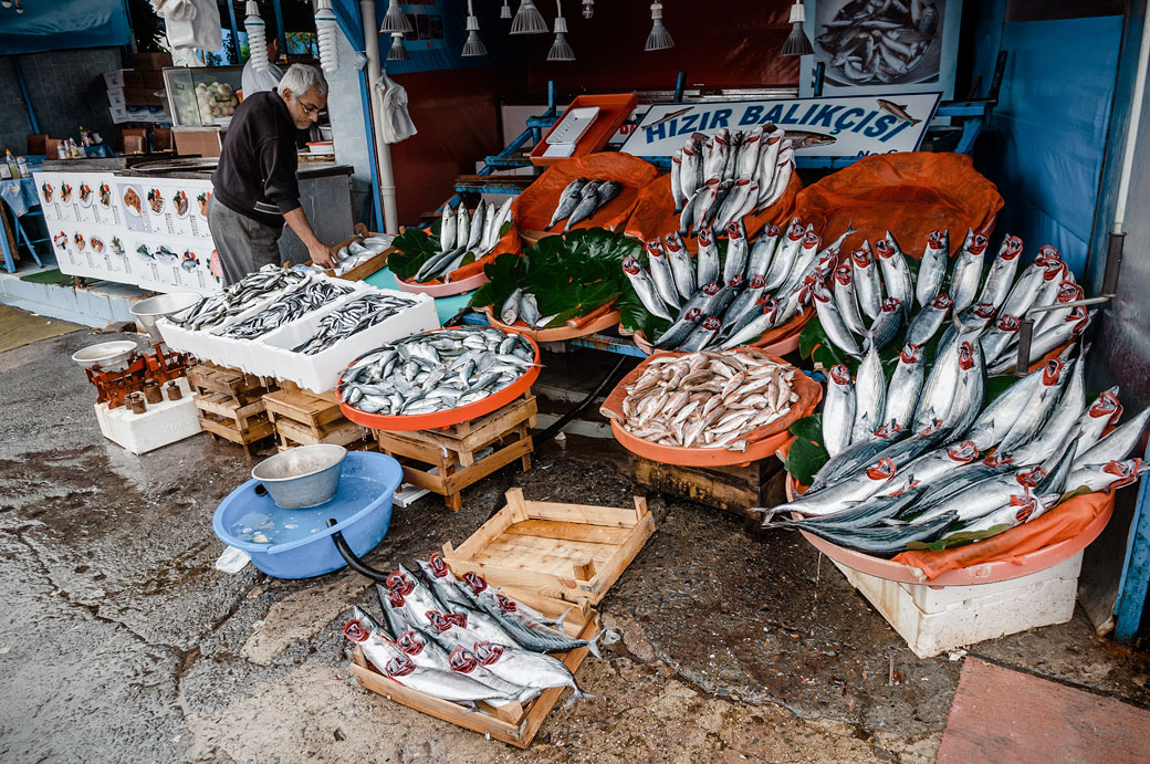 Poissonnier au marché aux poissons de Karaköy, Turquie