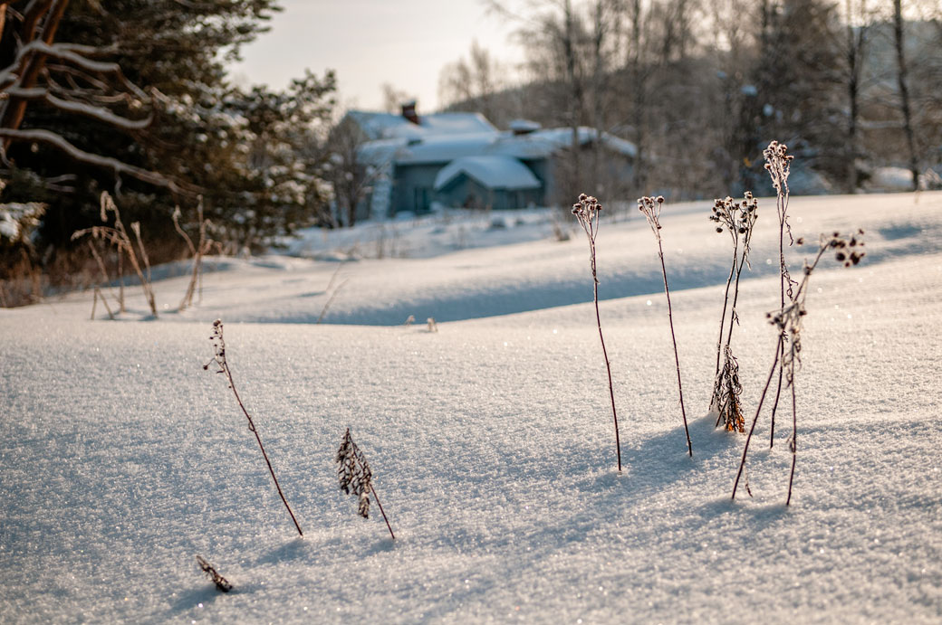 Maison isolée et paysage hivernal de Laponie, Finlande