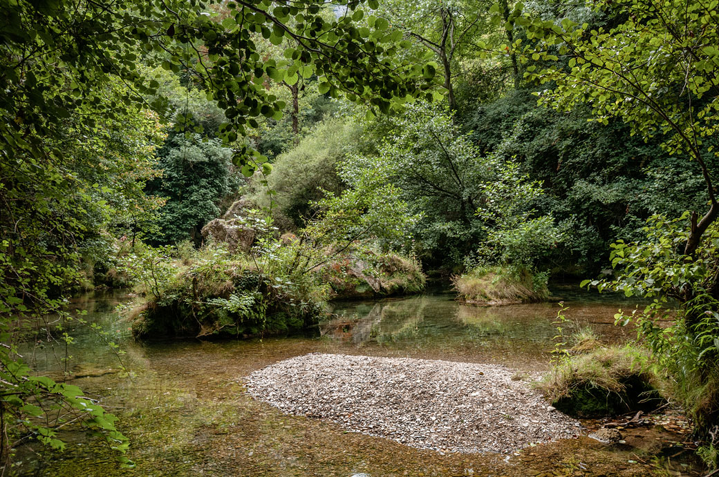 Rivière Vis dans la forêt de Navacelles, France