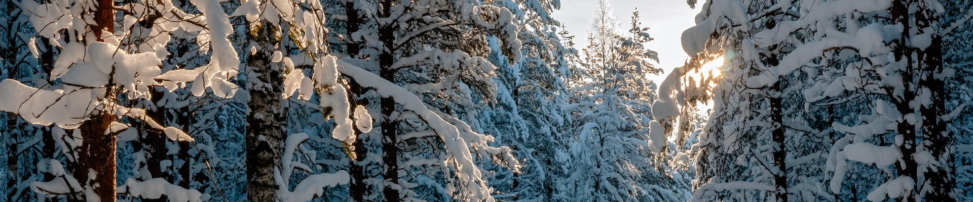 Top image Laponie en hiver