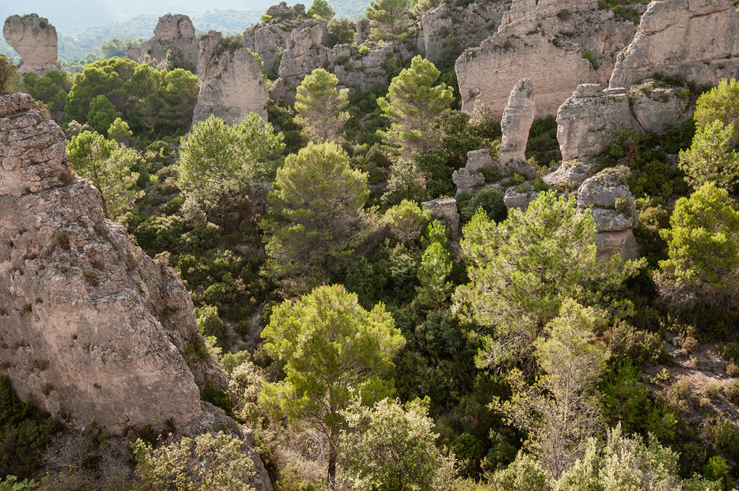 Labyrinthe naturel du cirque de Mourèze, France